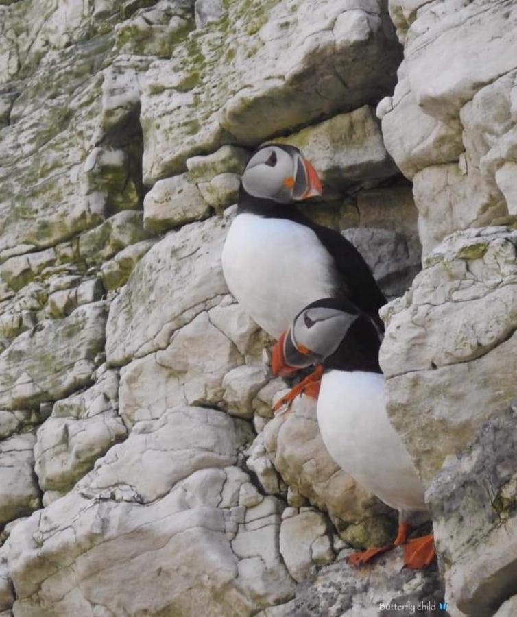 Grove Cottage, Flamborough Holiday home
